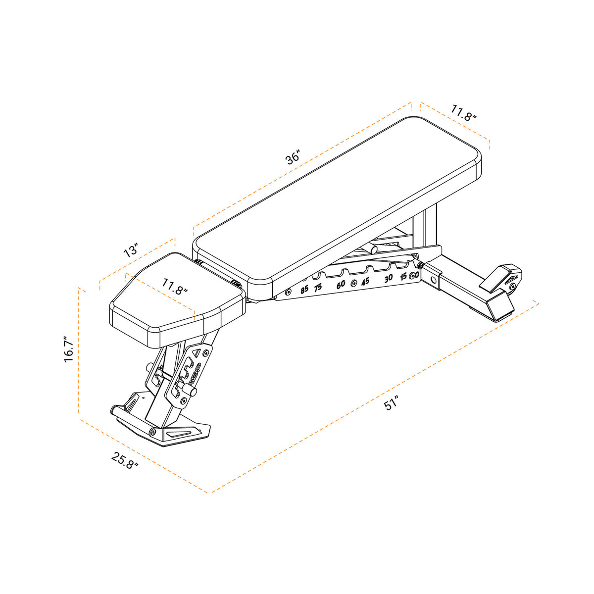 Nighthawk™ - Adjustable Bench