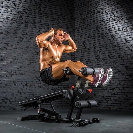 Multi-Torso Trainer