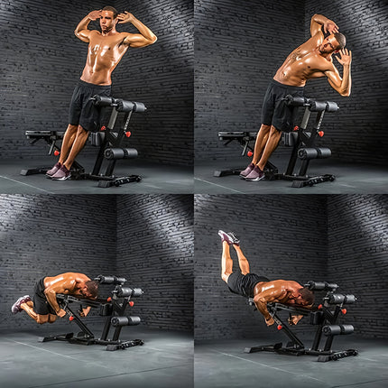 Multi-Torso Trainer