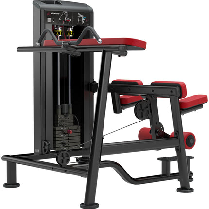 Kneeling Leg Curl