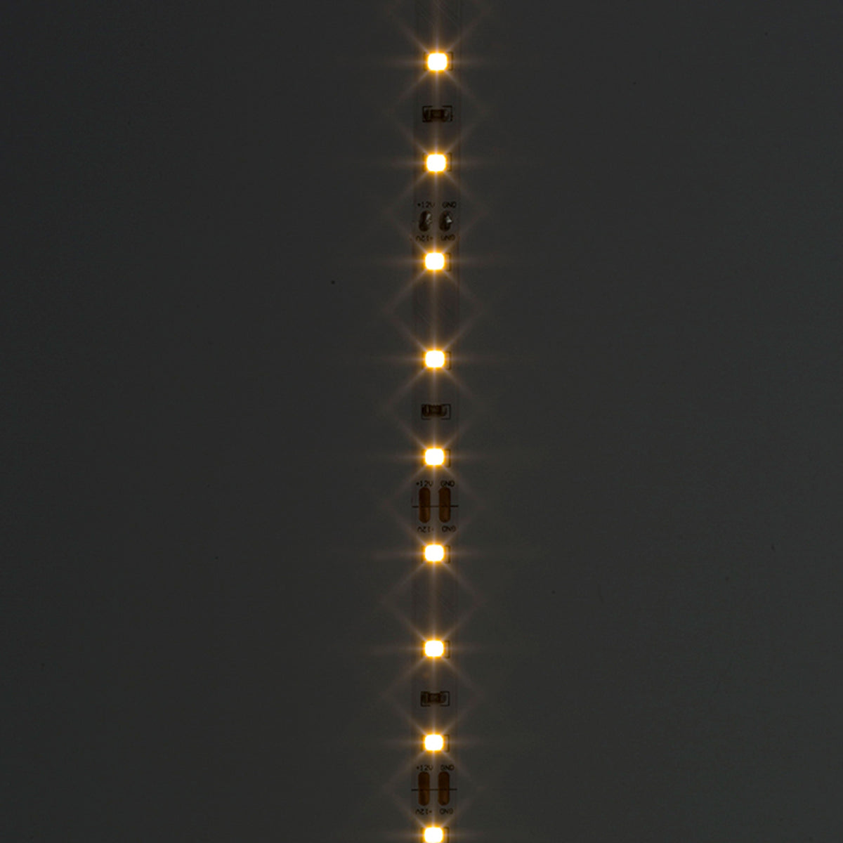RENDL LED-strip LED STRIP IP20 5m    12V= LED 60W  3000K G12366 5