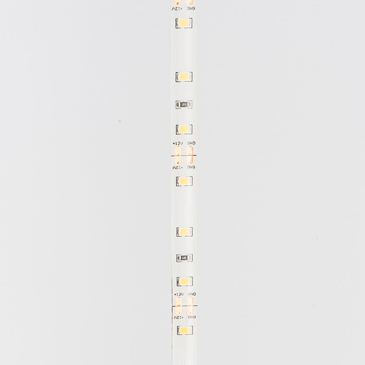 RENDL LED-strip LED STRIP IP54 5m    12V= LED 60W IP54  3000K G12371 3