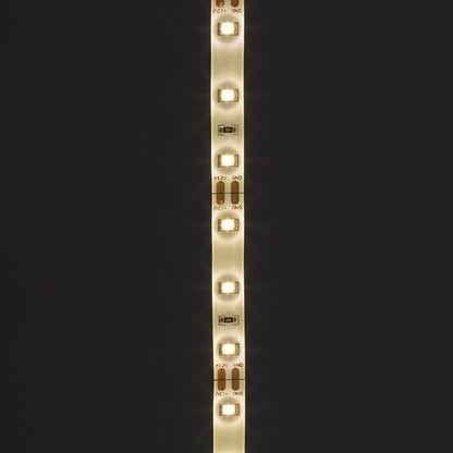 RENDL LED-strip LED STRIP IP54 5m    12V= LED 60W IP54  3000K G12371 5