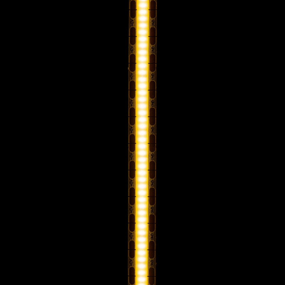 RENDL LED-strip LED STRIP ORION LED-strip 5m   12V= LED 50W 120°  3000K G13798 3