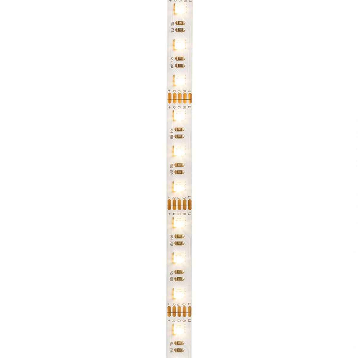 RENDL LED-strip LED STRIP ORION RGBW LED-strip 5m   12V= LED 96W 120°  RGBW G13820 1