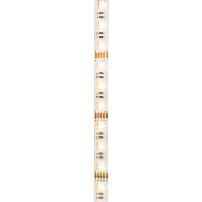 RENDL LED-strip LED STRIP ORION RGBW LED-strip 5m   12V= LED 96W 120°  RGBW G13820 1