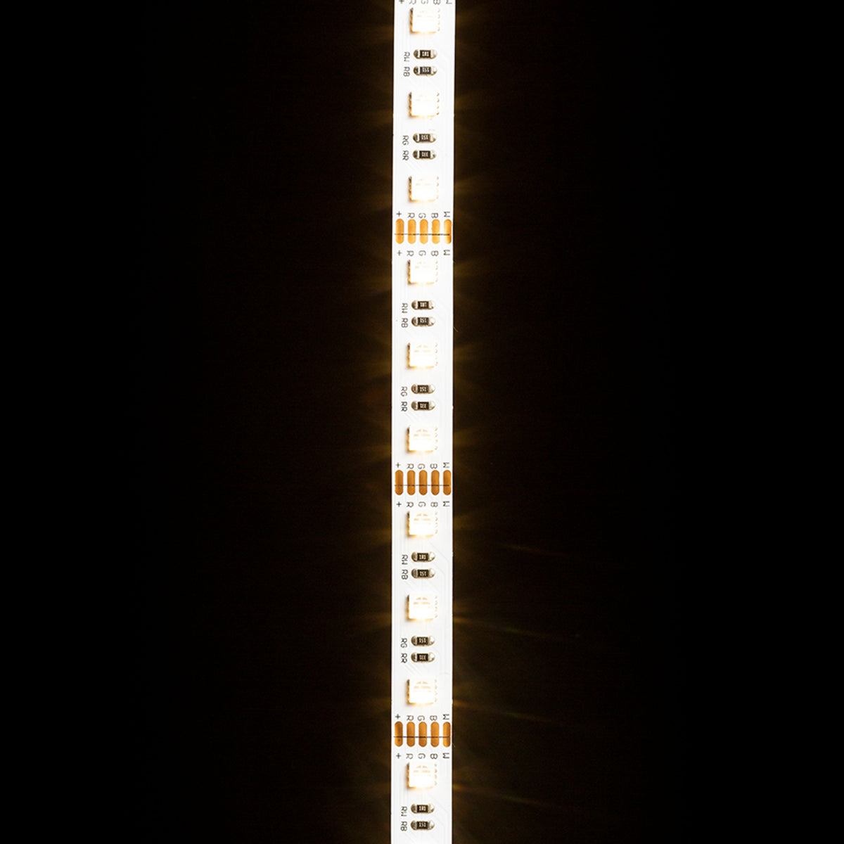 RENDL LED-strip LED STRIP ORION RGBW LED-strip 5m   12V= LED 96W 120°  RGBW G13820 10