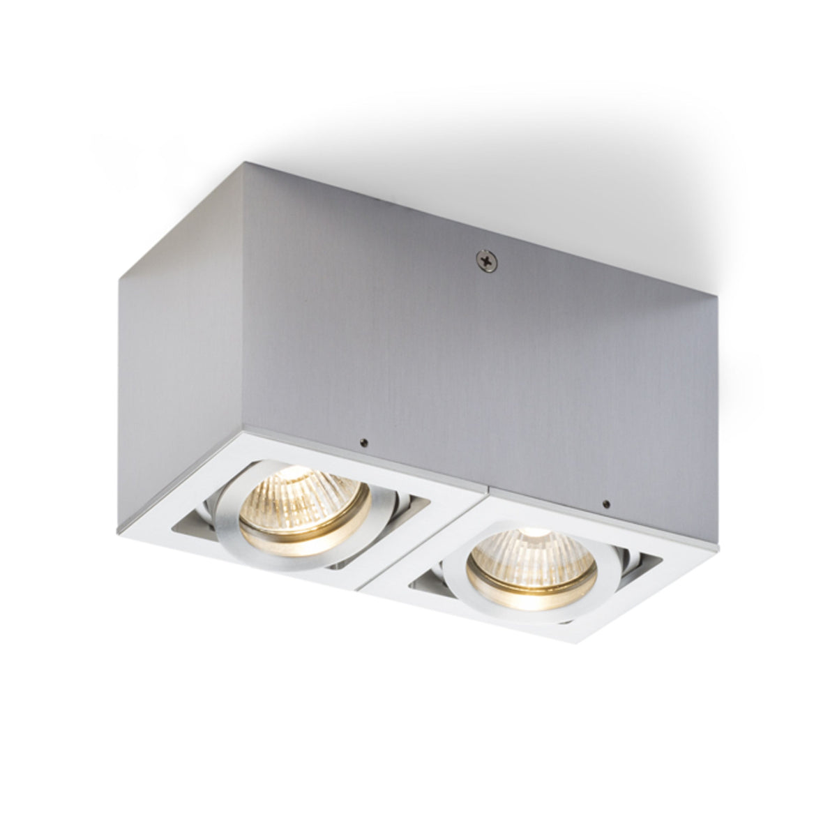 RENDL surface mounted lamp BERIT II ceiling aluminum 230V GU10 2x50W R10120 1