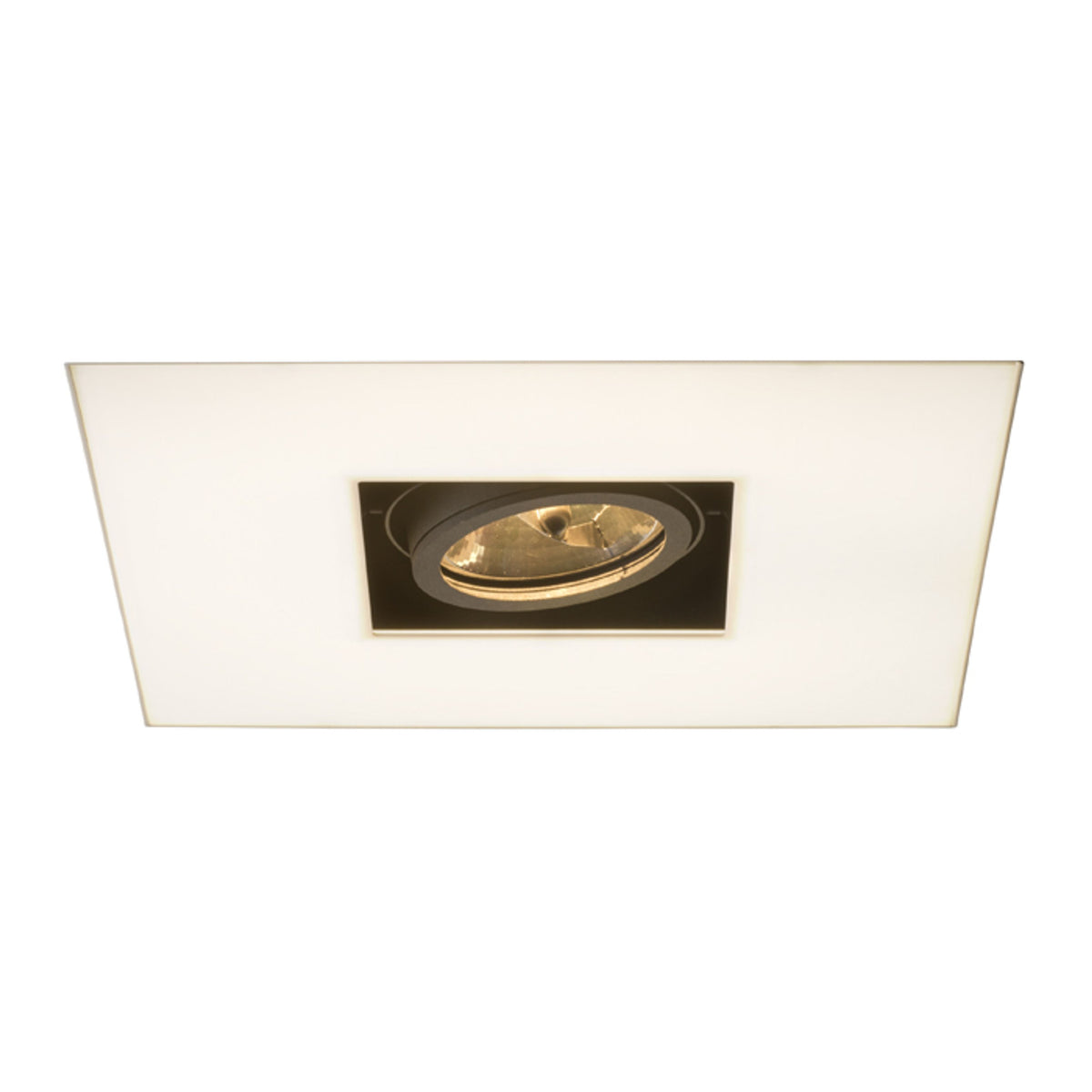 RENDL Outlet OFFICE TWIN recessed white 230V/12V 2GX13+G53 55+50W R10150 7