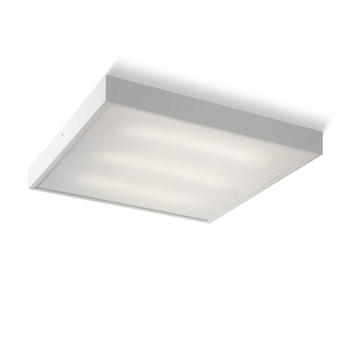 RENDL Outlet STRUCTURAL 55x55 surface mounted white 230V 2G11 3x36W R10256 1