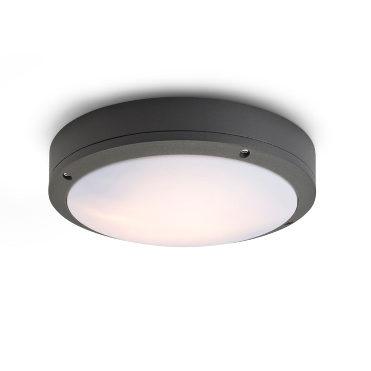 RENDL outdoor lamp SONNY ceiling anthracite grey  230V LED E27 2x15W IP54 R10382 1