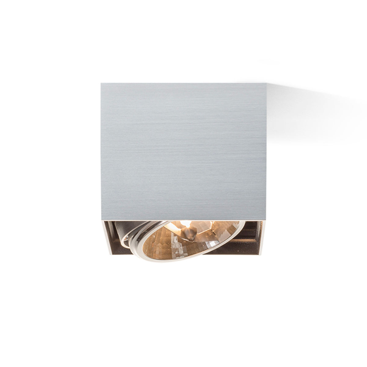RENDL surface mounted lamp DEAN I   brushed aluminum 230V/12V G53 50W R10610 3