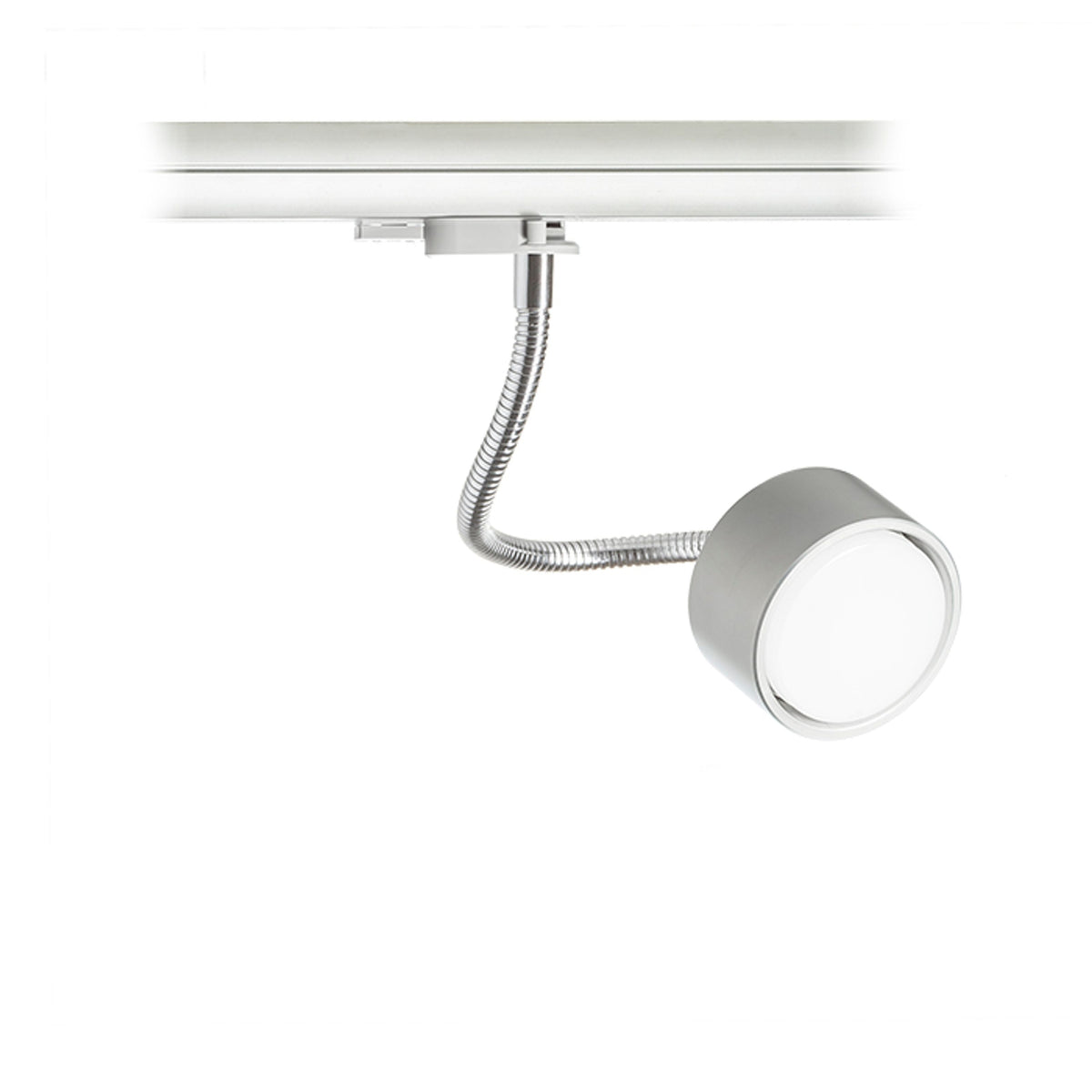 RENDL 3-circuit track system PIXIE on goose neck for 3-circuit tracks silver grey chrome 230V LED GX53 7W R10641 2