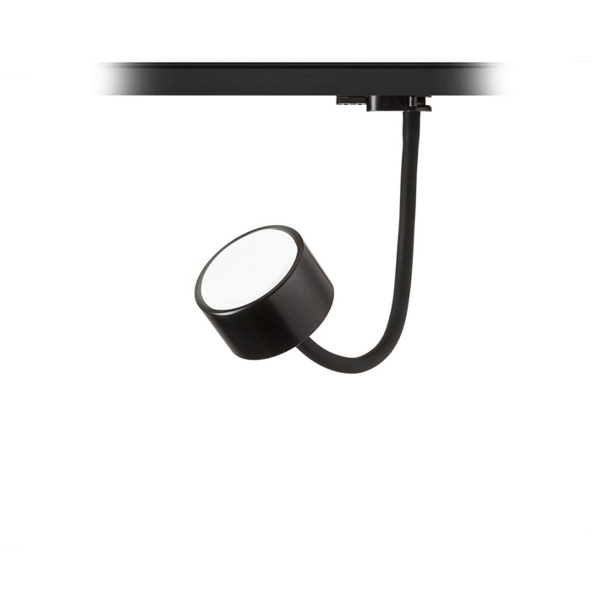 RENDL 3-circuit track system PIXIE on goose neck for 3-circuit tracks black 230V LED GX53 7W R11769 1