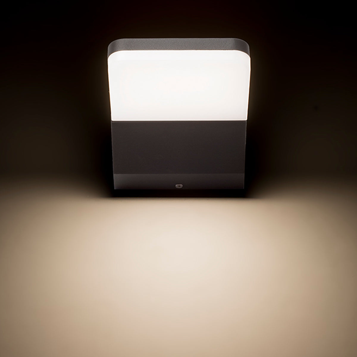 RENDL outdoor lamp VIRGO wall anthracite grey  230V LED 9W IP65  3000K R11946 8