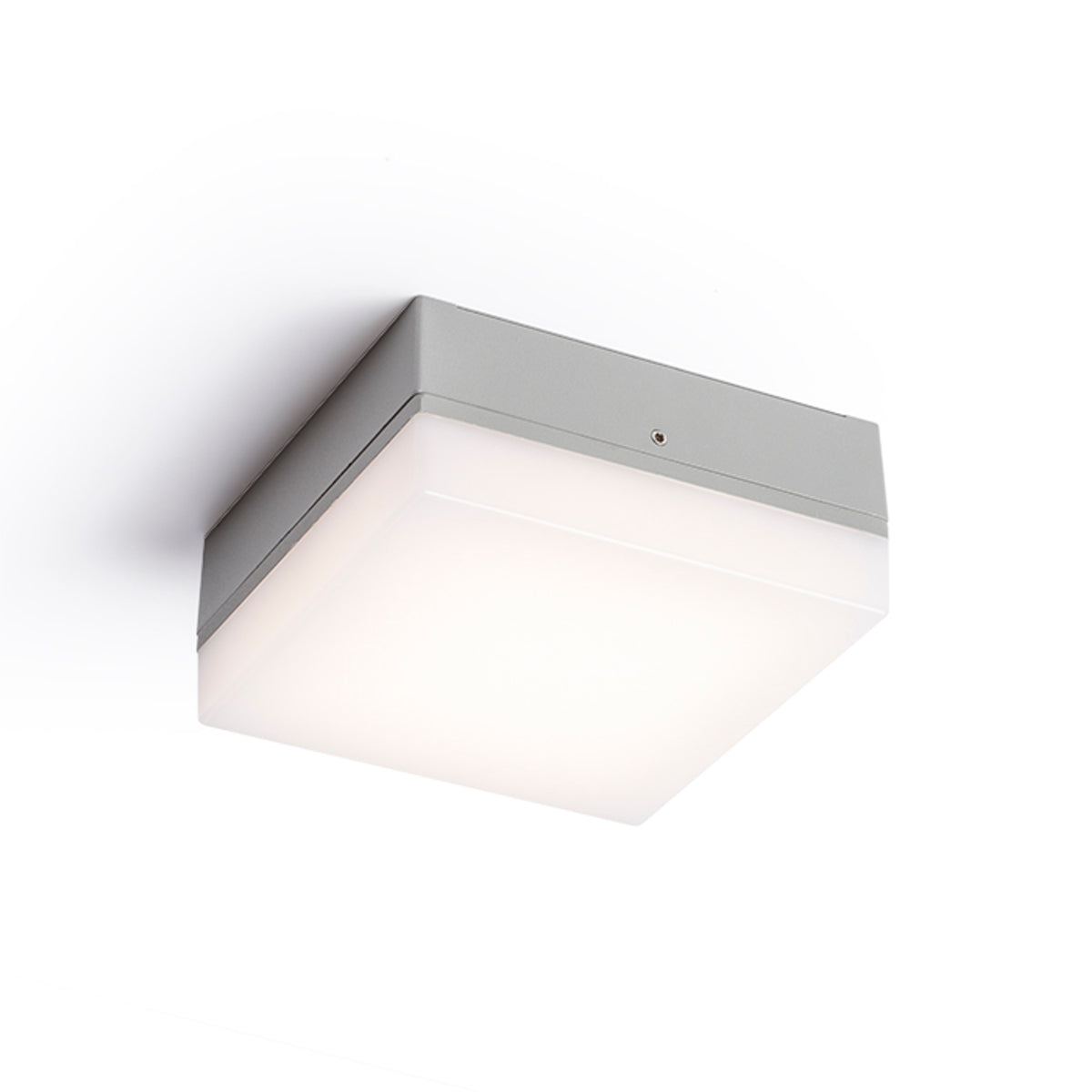 RENDL outdoor lamp SPECTACLE surface mounted silver grey  230V LED 5W IP54  3000K R11968 1