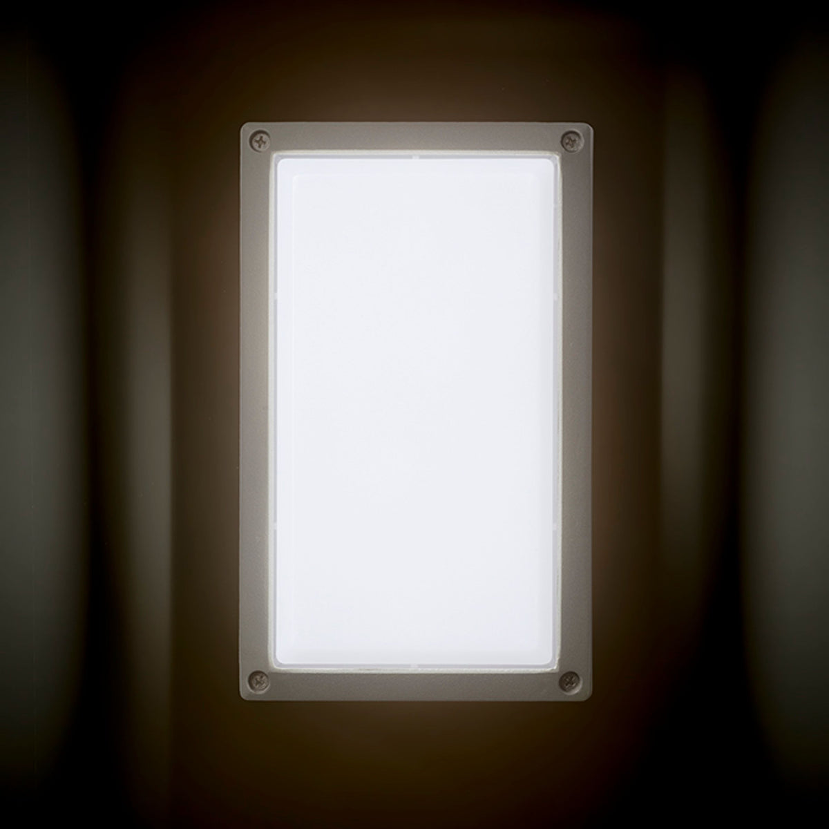 RENDL outdoor lamp ASPEN surface mounted silver grey  230V LED 5W IP54  3000K R12011 5