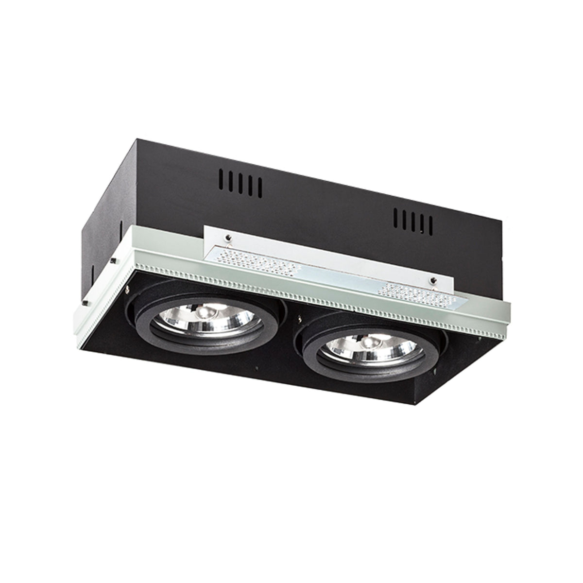 RENDL recessed light ELECTRA II  black  12V LED G53 2x15W R12051 3