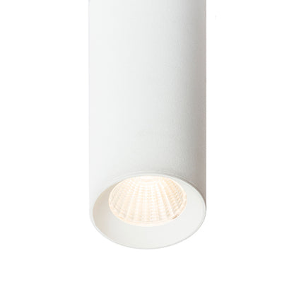 RENDL surface mounted lamp RIGA 18 ceiling white  230V LED 4W 38°  3000K R12450 2