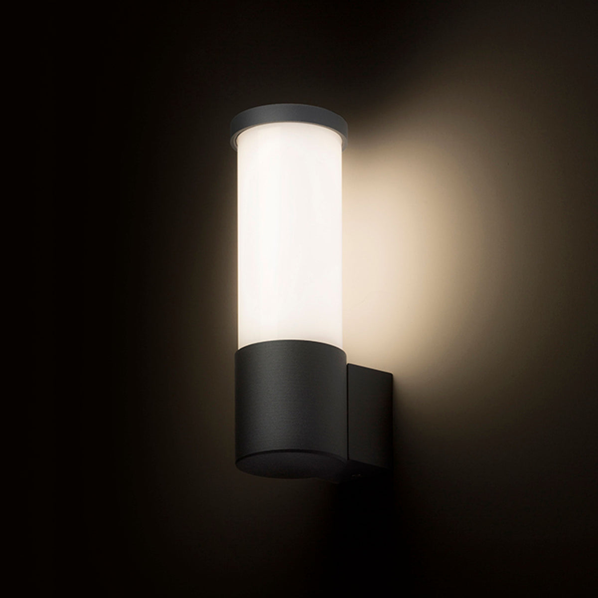 RENDL outdoor lamp GARRET wall anthracite grey  230V LED 15W IP65  3000K R12548 3
