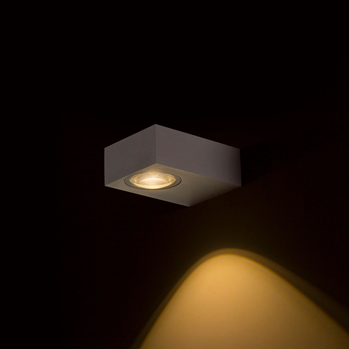 RENDL outdoor lamp KORSO I wall brushed aluminum 230V LED 5W 120° IP54 3000K R12829 2