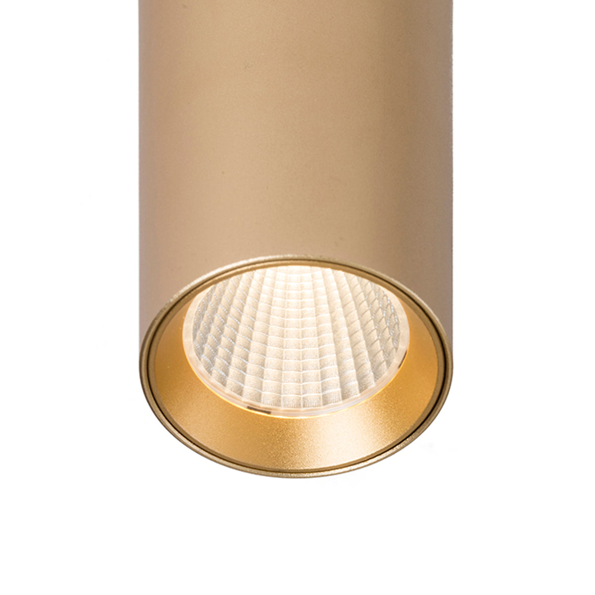 RENDL pendant lamp MAVRO pendant gold  230V LED 12W 38°  3000K R12991 2