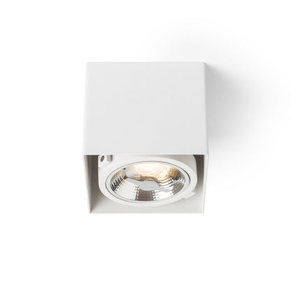 RENDL surface mounted lamp JAMES I DIMM ceiling matt white 230V LED 15W 24° 3000K R13361 2