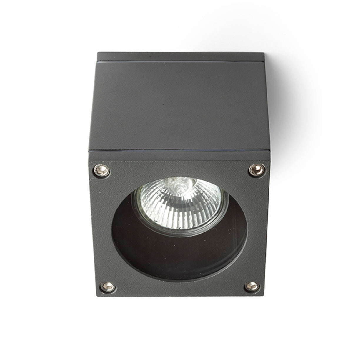 RENDL outdoor lamp RODGE ceiling anthracite grey  230V LED GU10 8W IP54 R13511 3