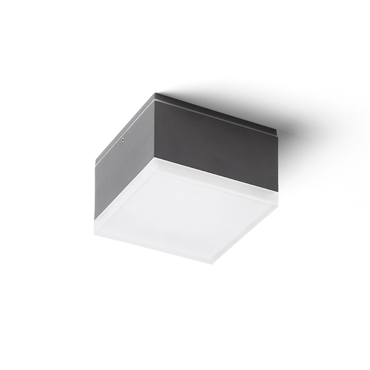 RENDL outdoor lamp ORIN SQ ceiling anthracite grey satinated acrylic 230V LED 10W IP54 3000K R13629 1