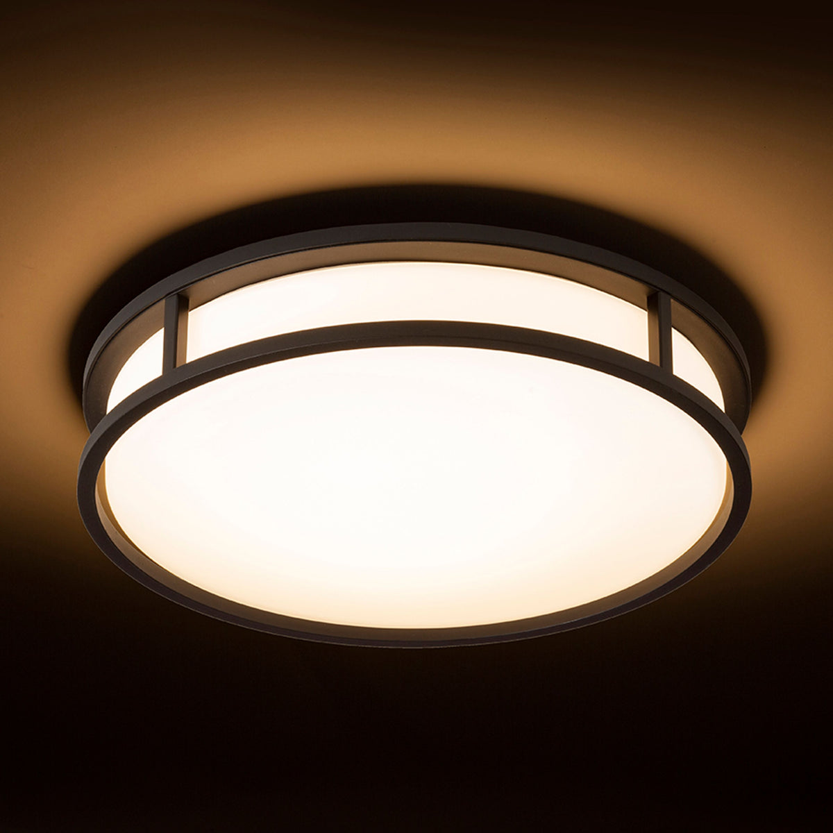 RENDL surface mounted lamp GRANDE LED 35 ceiling  opal-colored glass/black 230V LED 24W IP44  3000K R13679 4