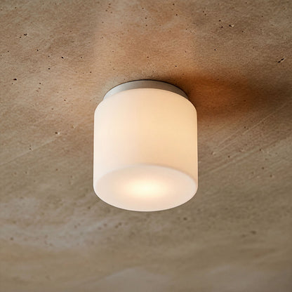 RENDL surface mounted lamp ARANA R 17 ceiling  opal-colored glass/chrome 230V LED E27 11W IP44 R13682 2