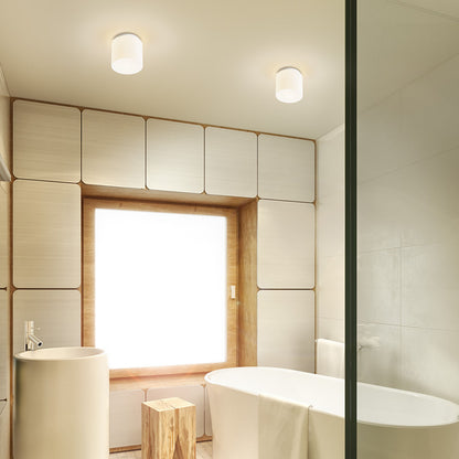 RENDL surface mounted lamp ARANA R 17 ceiling  opal-colored glass/chrome 230V LED E27 11W IP44 R13682 5