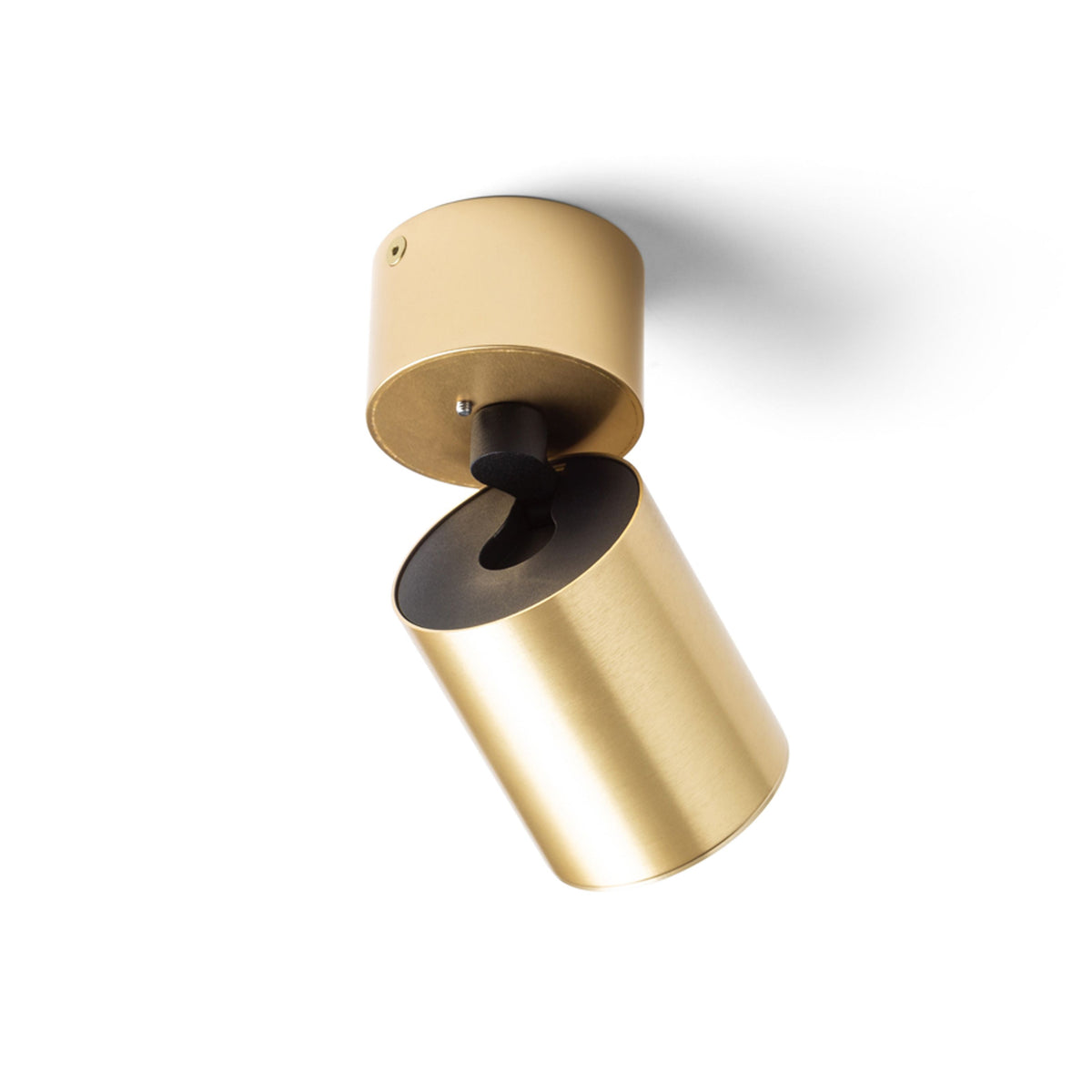 RENDL spotlight DARIO ceiling  brushed brass 230V LED GU10 9W R13869 4