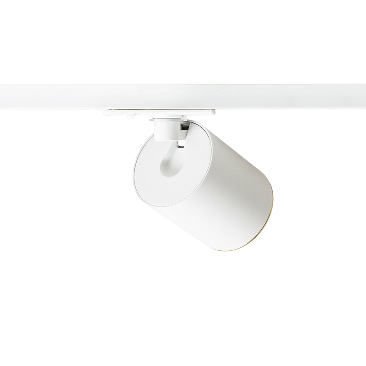 RENDL 1-circuit track system DARIO for 1-circuit tracks white brushed brass 230V LED GU10 9W R13870 3