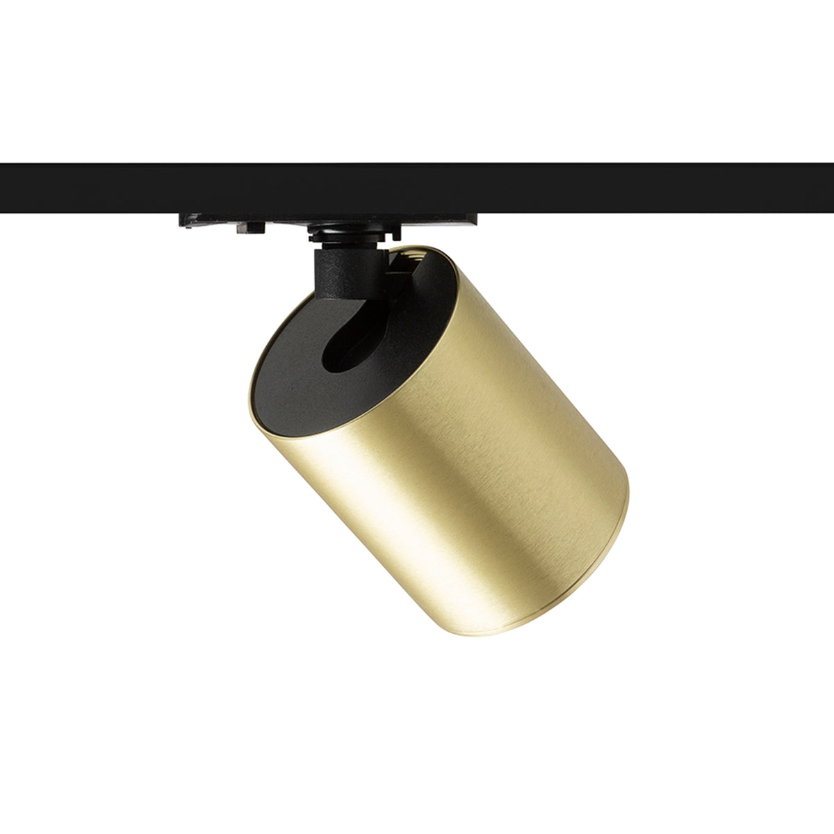 RENDL 1-circuit track system DARIO for 1-circuit tracks  brushed brass 230V LED GU10 9W R13872 2