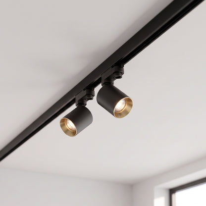 RENDL 3-circuit track system DARIO for 3-circuit tracks black brushed brass 230V LED GU10 9W R13874 2
