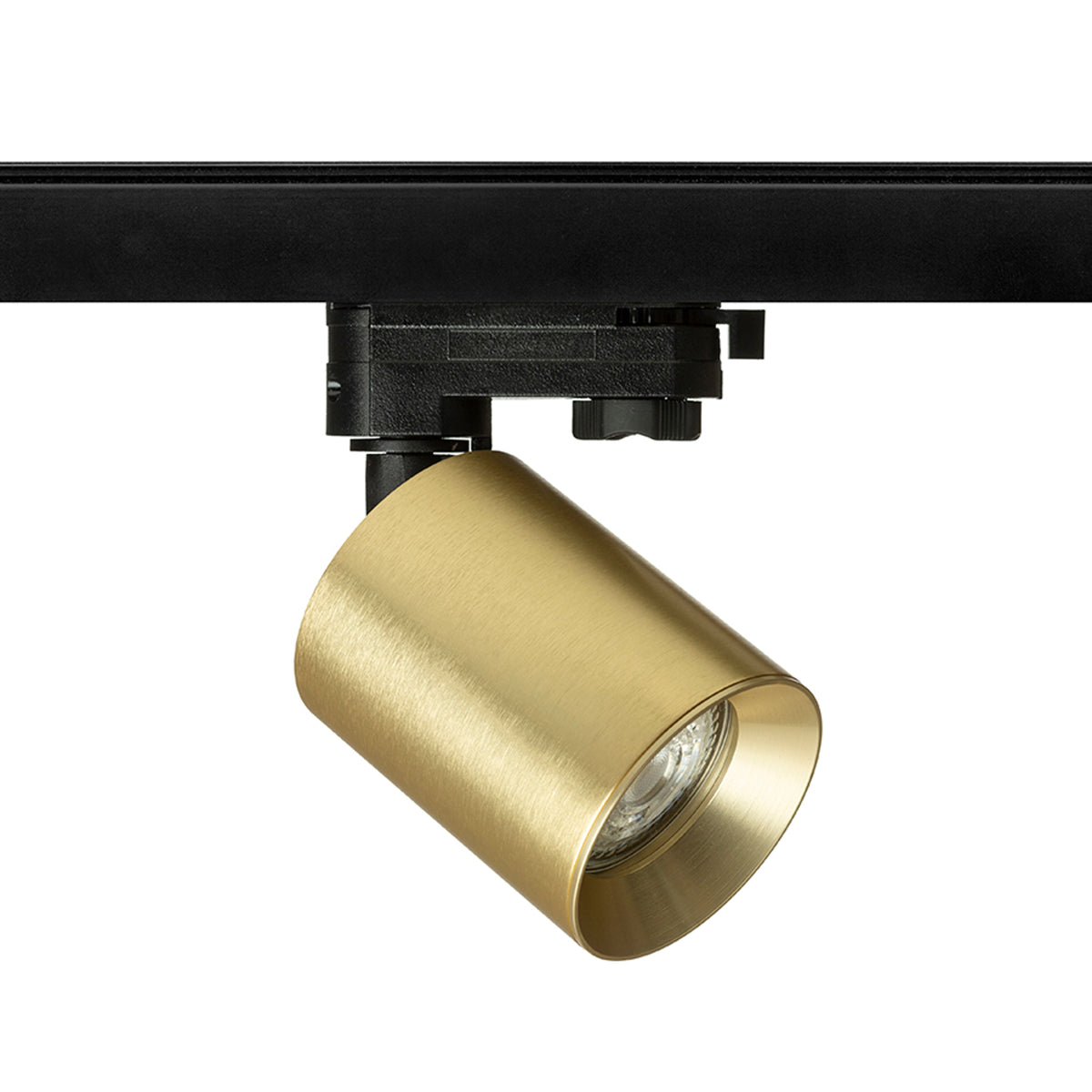 RENDL 3-circuit track system DARIO for 3-circuit tracks  brushed brass 230V LED GU10 9W R13875 2