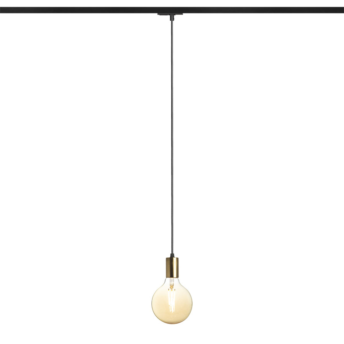 RENDL 1-circuit track system ARAQ for 1-circuit tracks pendant  brushed brass/black 230V LED E27 15W R13978 1