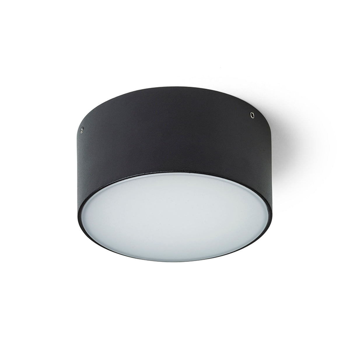 RENDL outdoor lamp LARISA OUT 12 surface mounted black  230V LED 10W IP65  3000K 4000K 5700K R14124 2