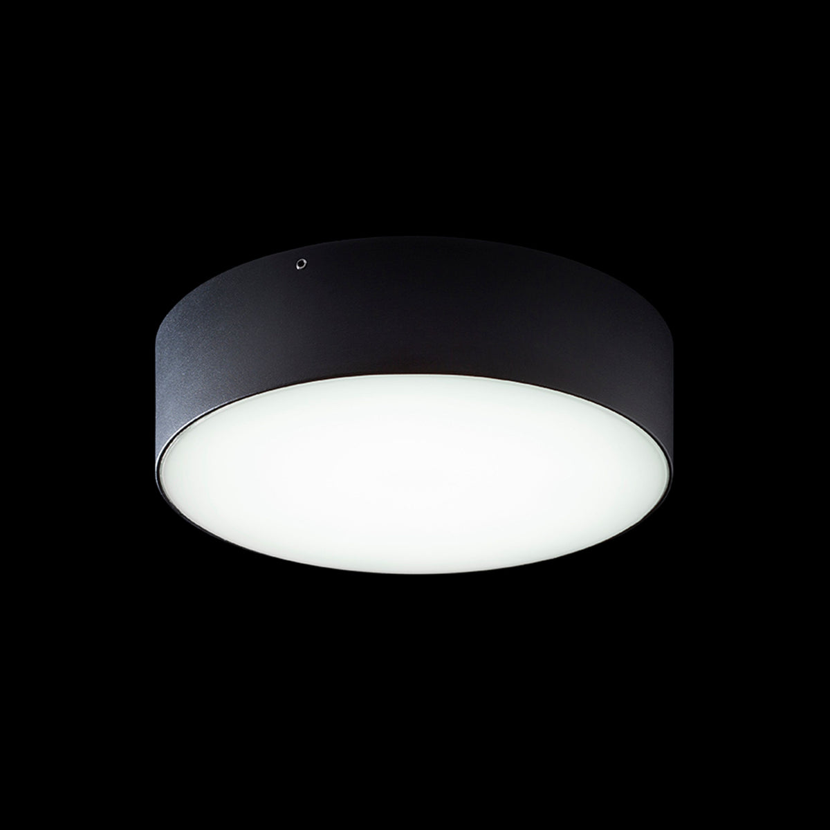 RENDL outdoor lamp LARISA OUT 22 surface mounted black  230V LED 20W IP65  3000K 4000K 5700K R14126 4