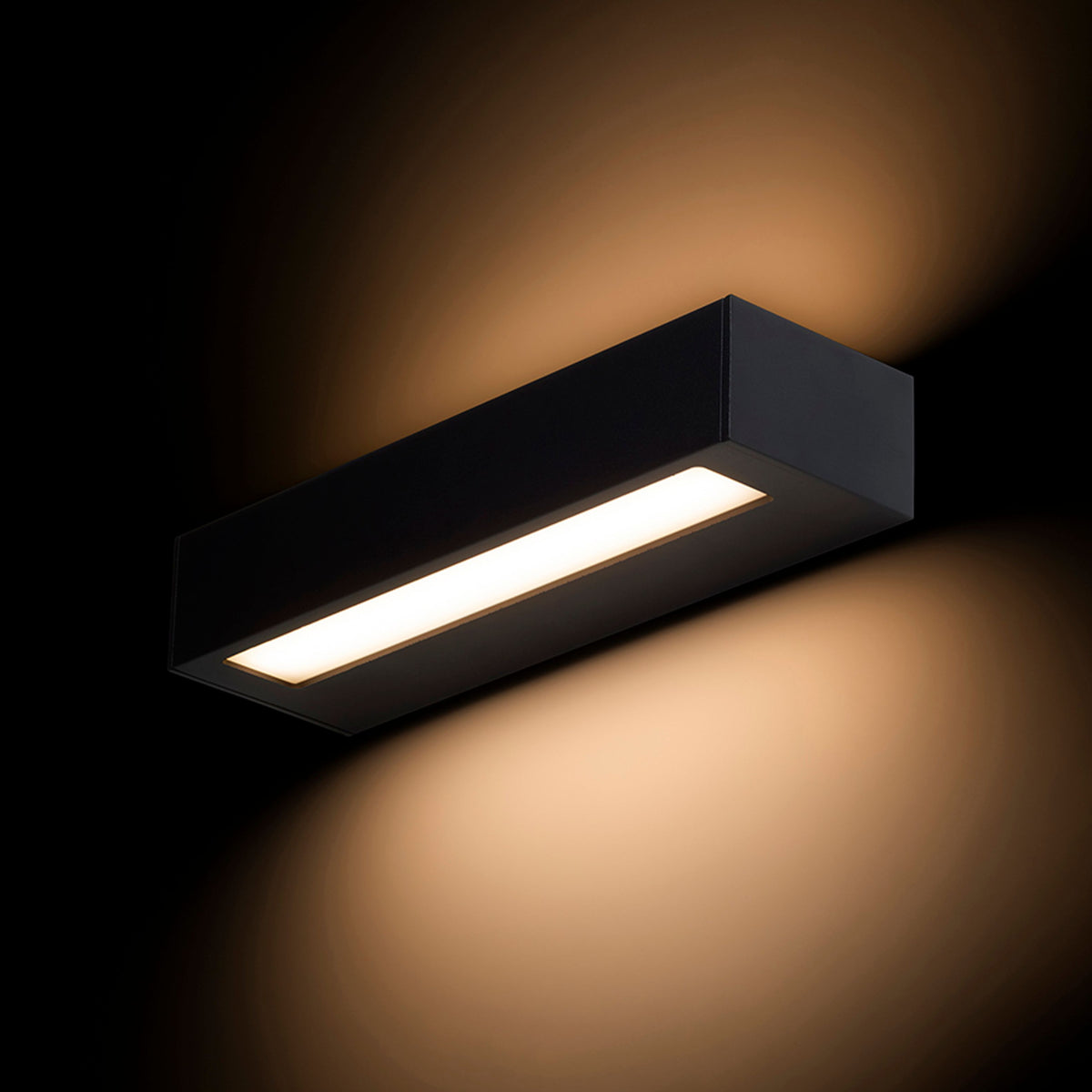 RENDL outdoor lamp ASTER 25 wall black frosted acrylic 230V LED 2x6W IP65 3000K R14198 2
