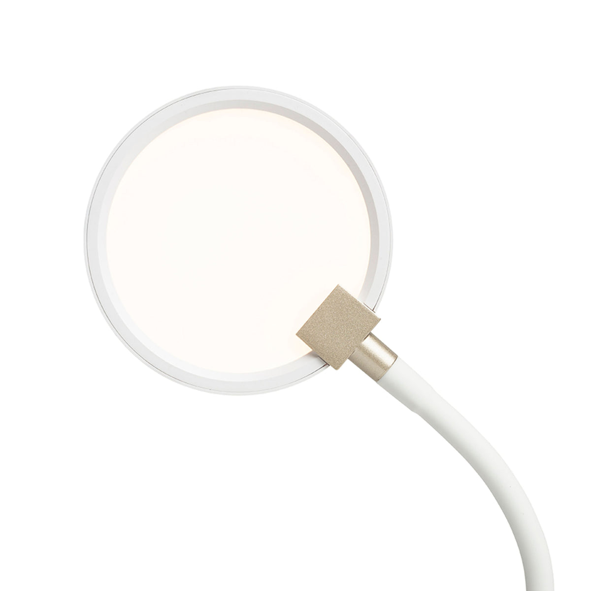 RENDL spotlight CELESTE wall white 230V LED 4.8W 3000K R14278 4