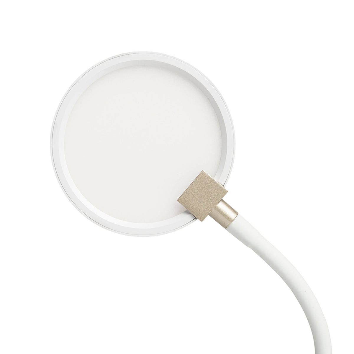 RENDL spotlight CELESTE wall white 230V LED 4.8W 3000K R14278 8