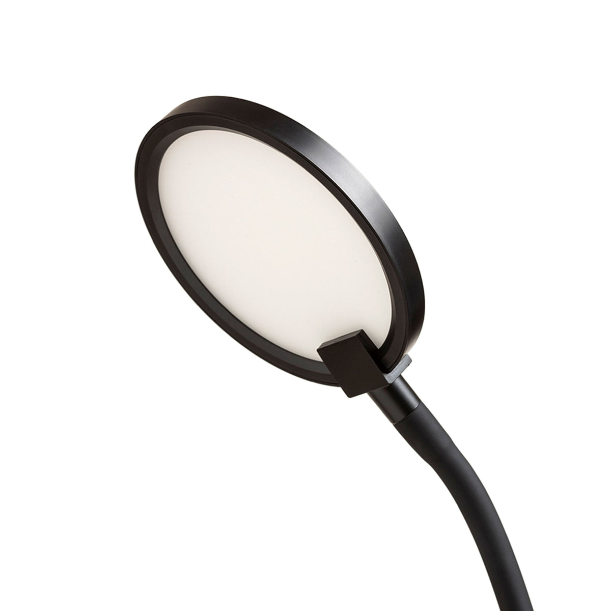 RENDL floor lamp CELESTE DIMM floor black 230V LED 5W 100° 3000K R14281 4