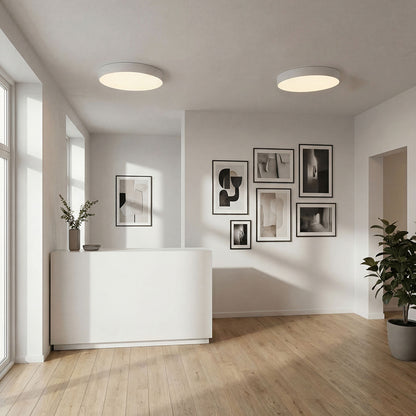 RENDL surface mounted lamp LARISA R 60 DIMM ceiling white 230V LED 100W 3000K 4000K 6500K R14363 2
