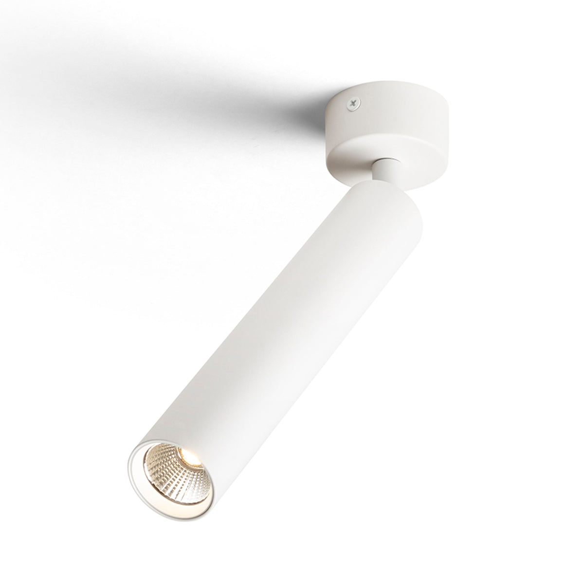 RENDL spotlight DARRIN R surface mounted white  230V LED 6W 24°  3000K R14470 2